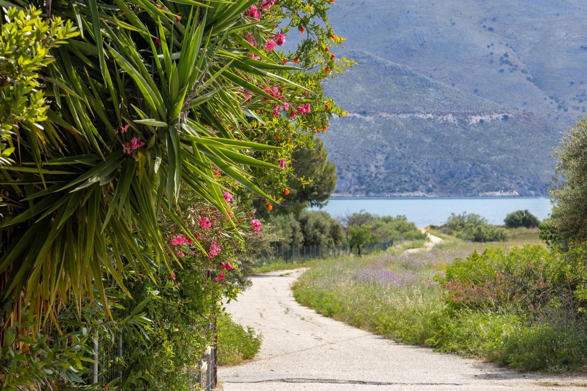 Sea & Olives House Villa Lixouri Buitenkant foto