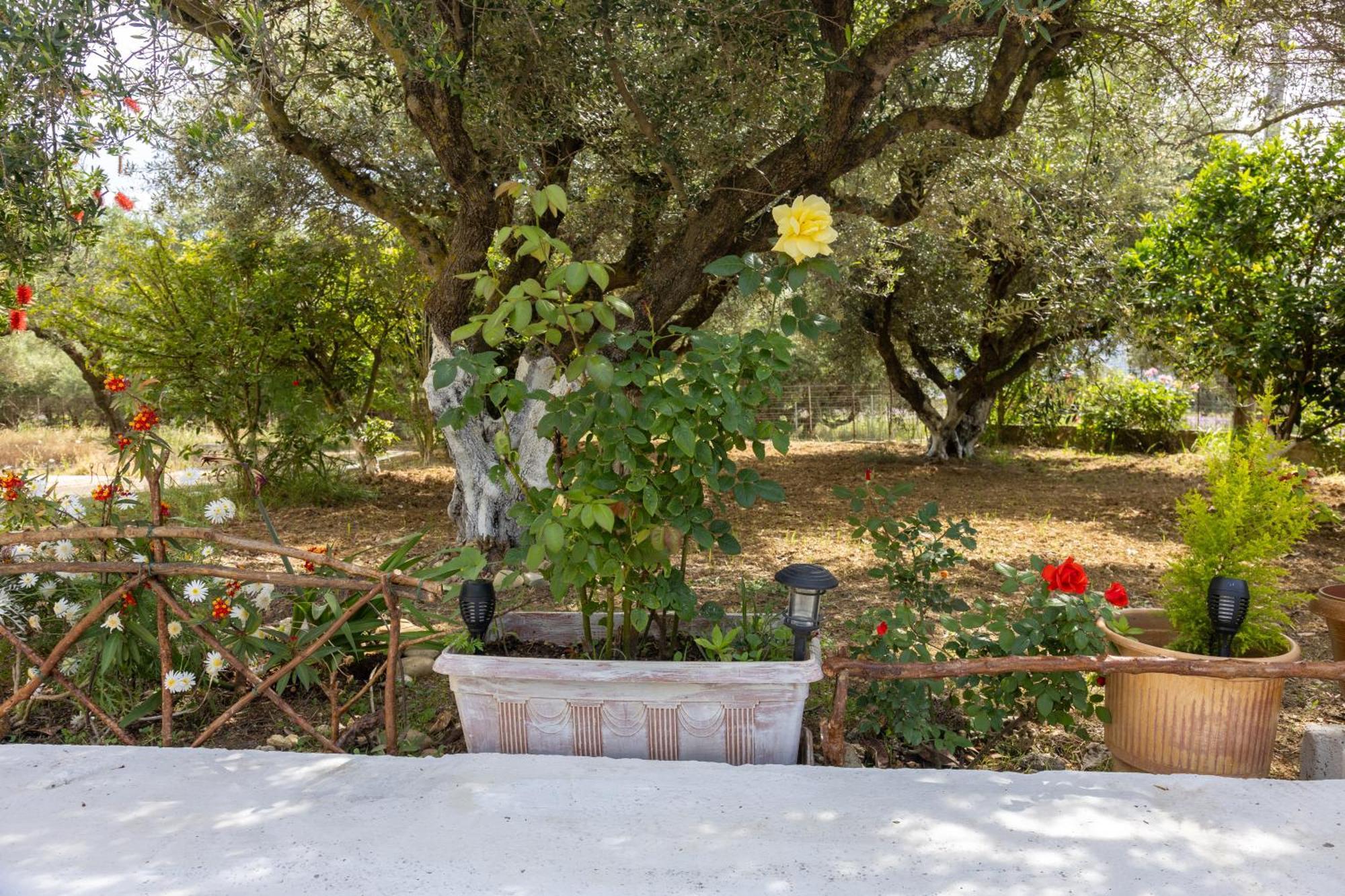 Sea & Olives House Villa Lixouri Buitenkant foto