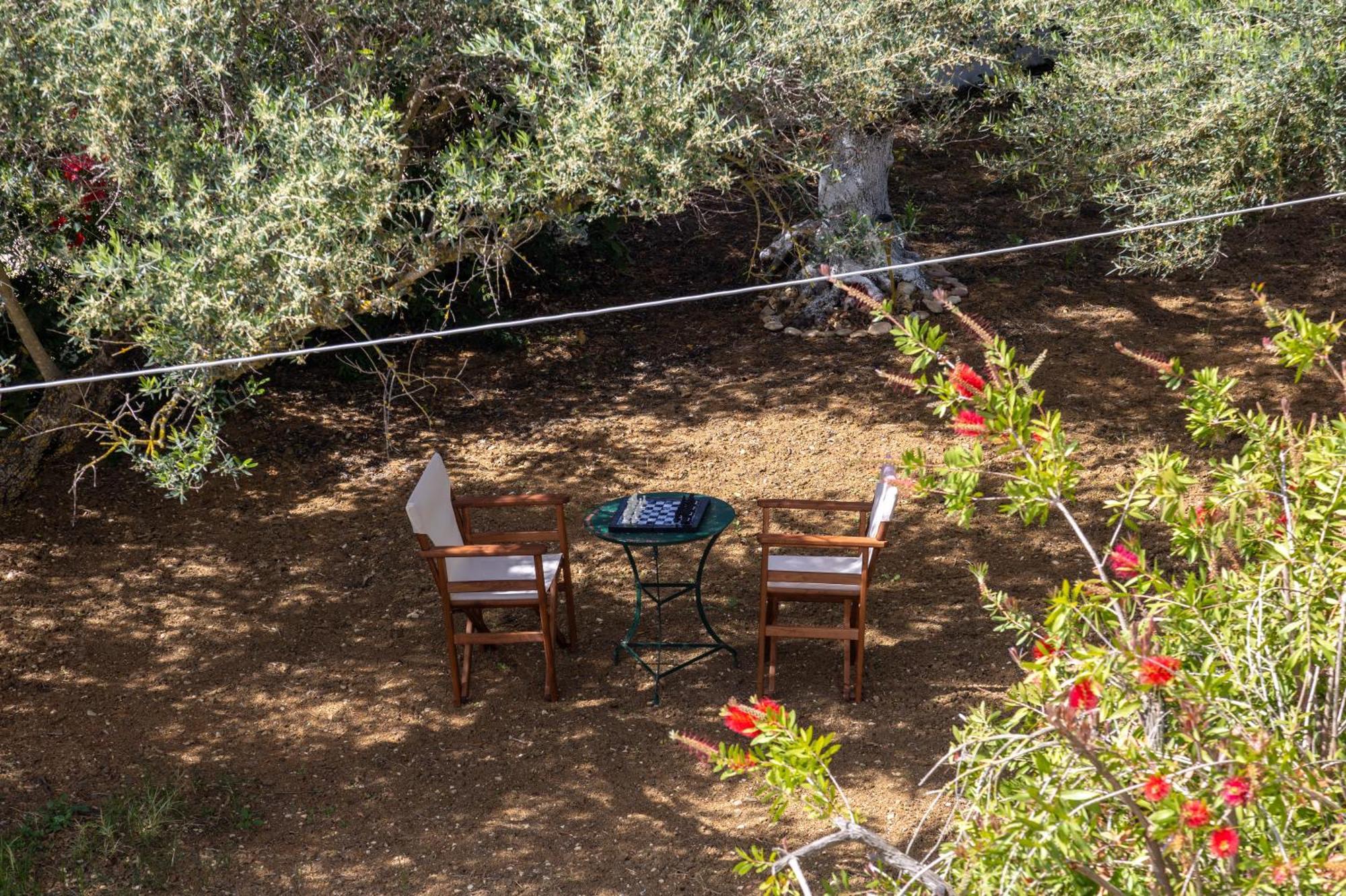 Sea & Olives House Villa Lixouri Buitenkant foto